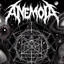 AnemoiA