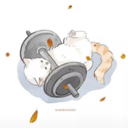 你也曾把谁当梦