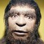 Homo Erectus