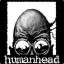 human.head