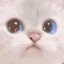 Koyu :)