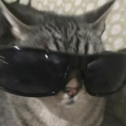 还是我们普信男最帅