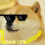 md0g/fromUK