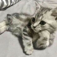 pablo - steam id 76561199208470114