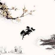 斗鱼薛老怪8434287