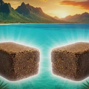 гавкошмыг SaiVy