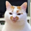 xiaoguo