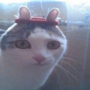 Hualong