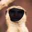 9I_Ty/7e_HeBMuH9IeMe_6bIgJIo