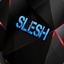 mega.slesh