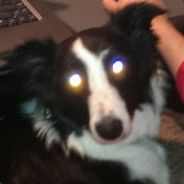 Skeeter | owner/player