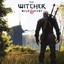 the Witcher