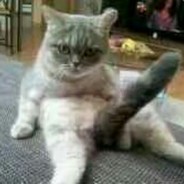 欲说忘初忆更多