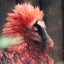 Bearded_Vulture