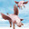 Kaban_airlines