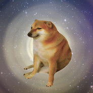 懒