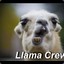 ✪ Daddy Llama
