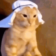 GamerMinecraft(aka-Progamer)