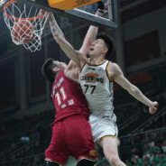 张镇麟在线隔扣