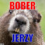 Bober