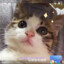 开了