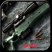 DZ12