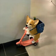 优雅的水晶芬达