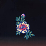 乔尼娜⚡️走星