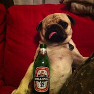 Сын лил мопса