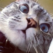 Big Avatar