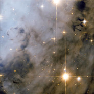 求求你们别打我了