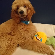 _wub