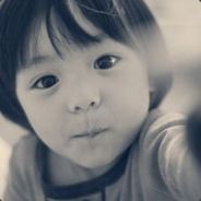 一树梨花压海棠