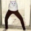 Jiji