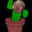 Alabama cactus