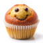 The_MuFFin_Man