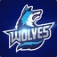★ WOLVES ★