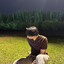 GAMPAN