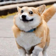 pikapikapikapikapikapikapikap