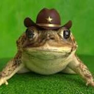 Toad