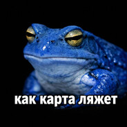ёжик