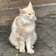 从小帅到大的忧郁王子