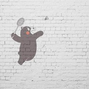 皮肤数据找：QQ2165168013