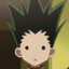 Gon