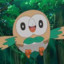 Rowlet