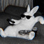 Cool Bunny
