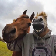 青矛山少年不会梦到星宿阿姨