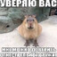polinaf