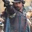 Handsome Musketeer