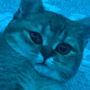 neyr0k-